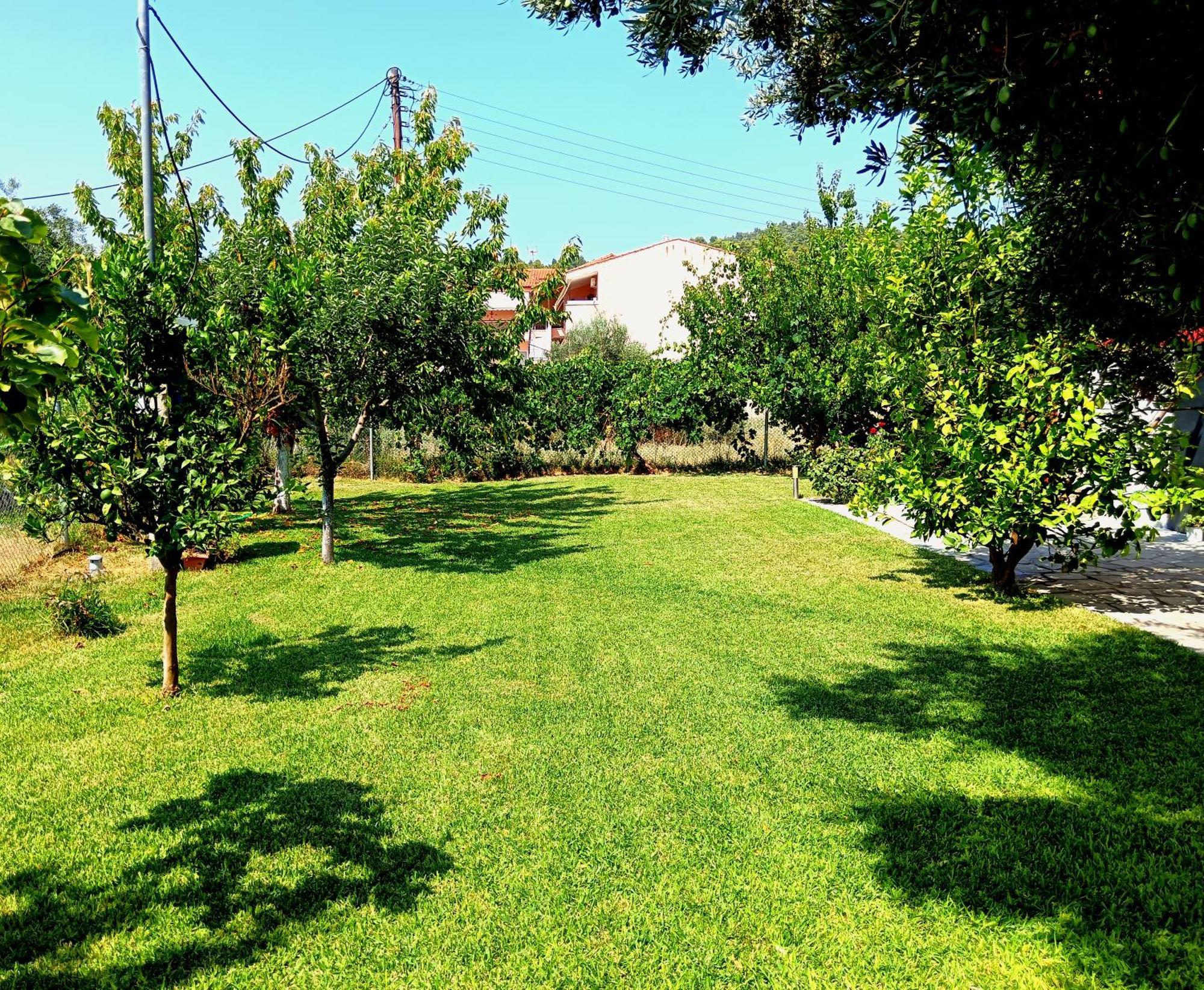 Giorgos Apartments Σκάλα Φούρκας Εξωτερικό φωτογραφία